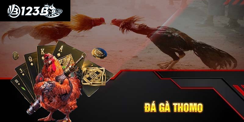 Đá Gà Thomo Campuchia: Sân Chơi Cá cược Quy Mô Quốc Tế